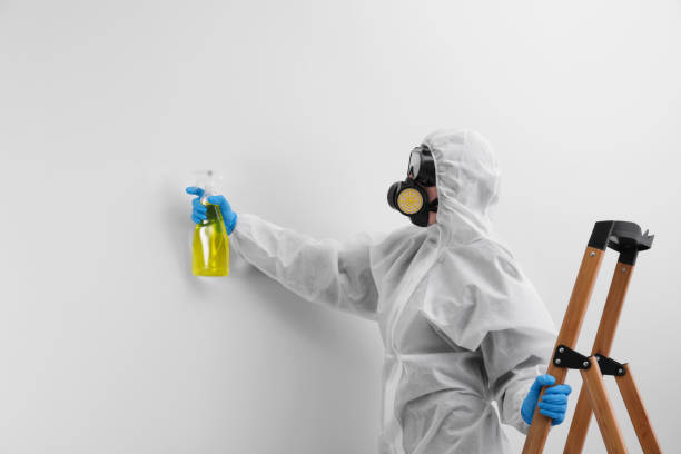 Best Mold Remediation for Healthcare Facilities  in Enola, PA